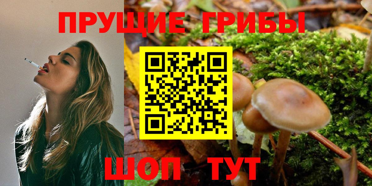Кириши  Псилоцибиновые грибы GOLDEN TEACHER  Вход с VPN 