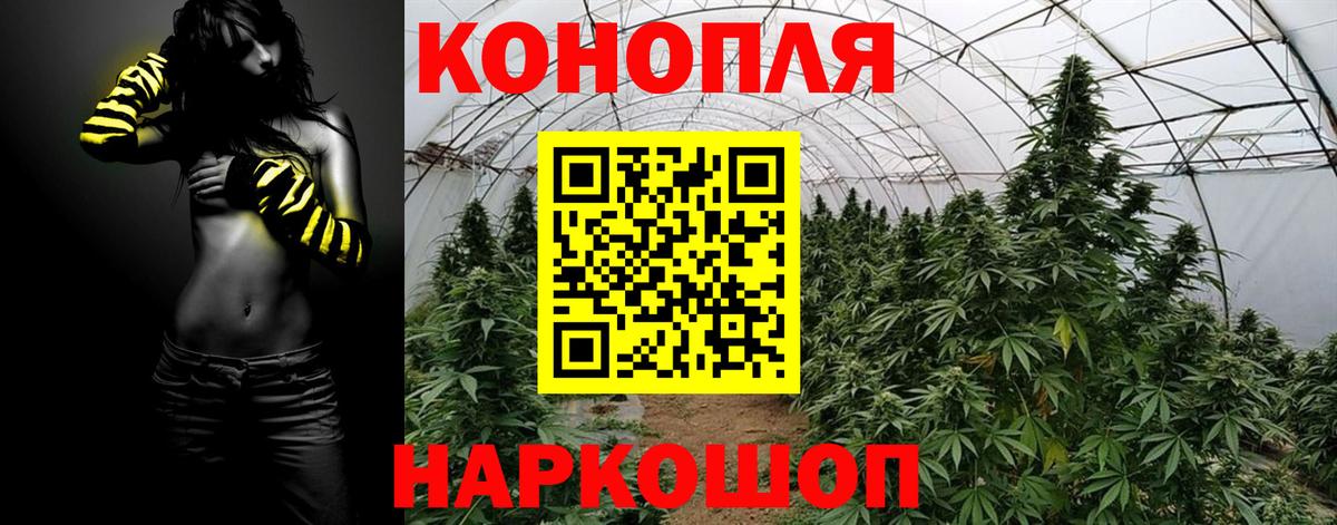 Шишки марихуана индика  Канабис тримм  Вход с VPN  Кириши 